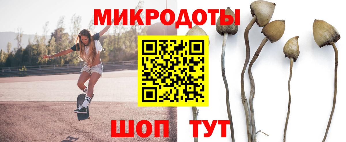 даркнет сайт  Псилоцибиновые грибы Cubensis  Вход с VPN  Котельники 